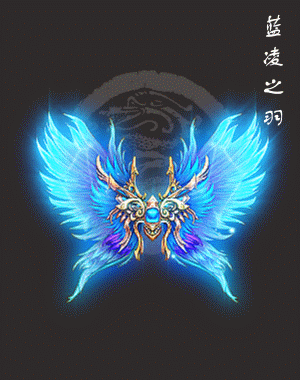 8.gif
